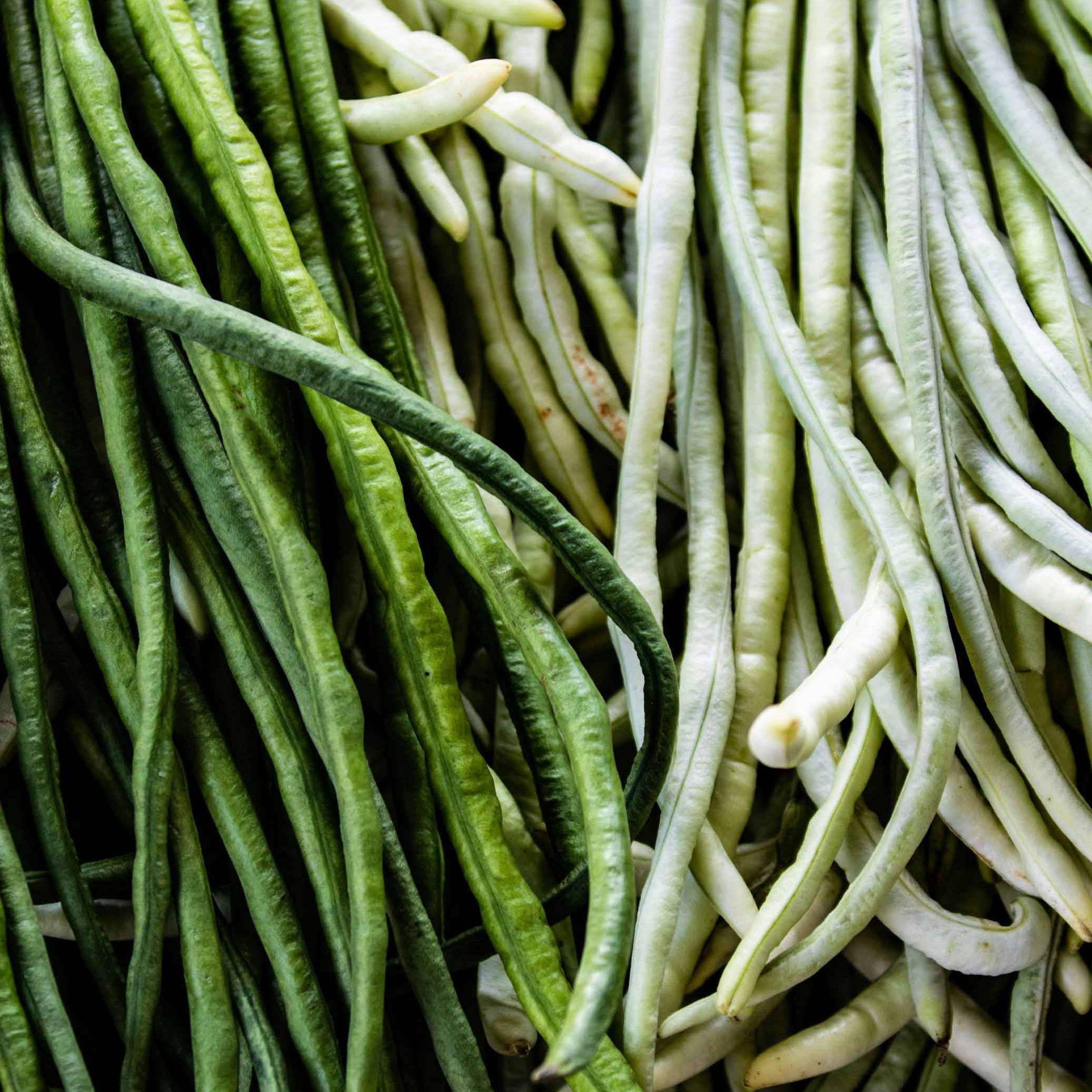 haricot-vert-2.jpg