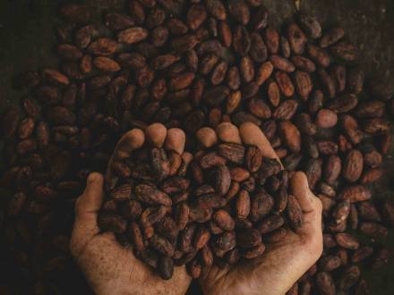 La hausse du cacao et du beurre : quelles répercussions sur vos achats ?